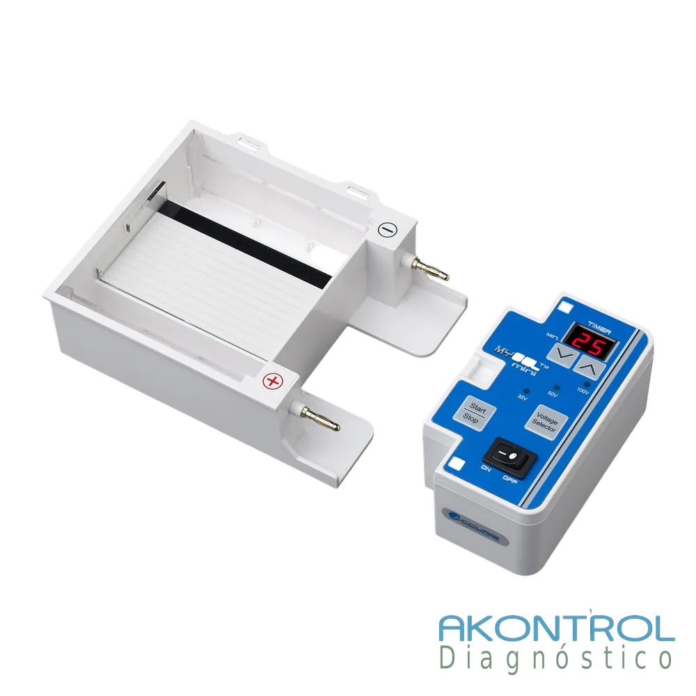 Sistema de Electroforesis – imagen 2 de 3